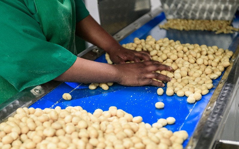 Macadamia-Nut-Farming1