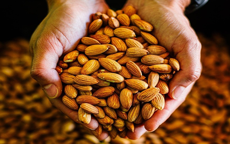 Sweet Almonds 7 (2)1